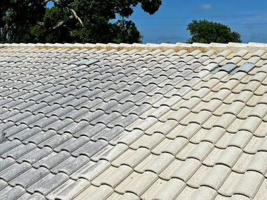 Roof Washing Services in Lakewood Ranch, FL (1)