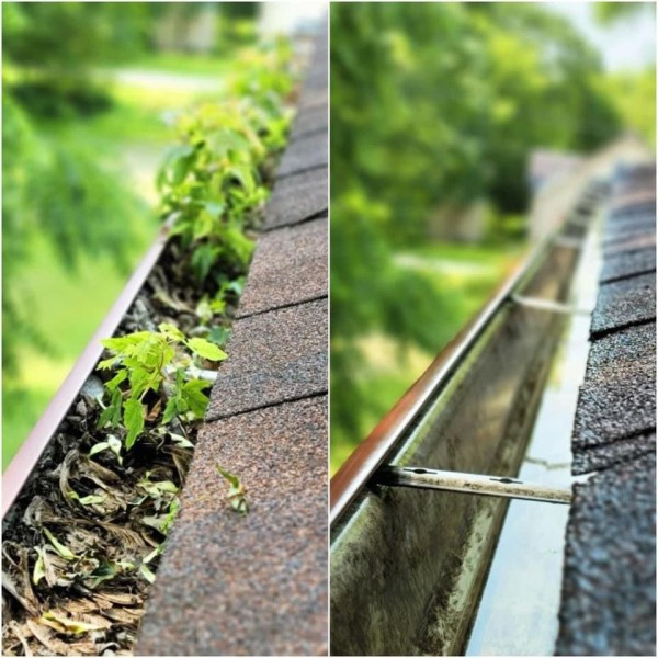 Roof Cleaning in North Sarasota, FL (1)