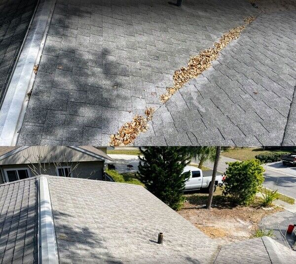 Roof Cleaning Services in Bradenton, FL (1)