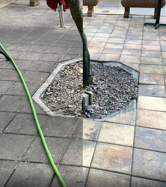 Pressure Washing Services in Sarasota, FL (1)