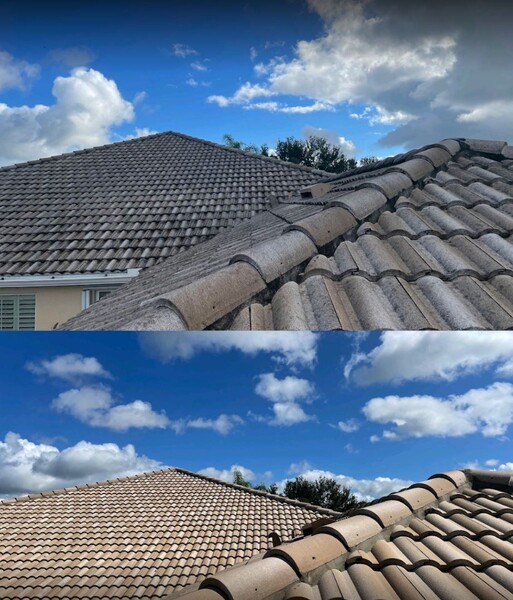 Roof Cleaning Services in Sarasota, FL (1)